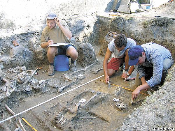 Archeolodzy podczas badania pofranciszkańskiego cmentarza
