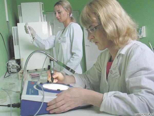 Wodę z rybnickich basenów badają m.in. Iwona Antoniak i Monika Szłapka z sekcji badań mikrobiologicznych oddziału laboratoryjnego rybnickiego Sanepidu