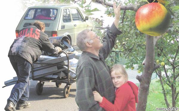 Musiałem obrać wszystkie zimowe jabłka, żeby nie padły łupem złodziei – żali się Józef Piwowarski (na zdjęciu z wnuczką Natalką)