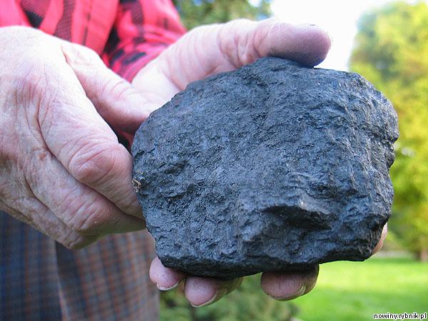 Rybniczanin kupił kamień zamiast węgla