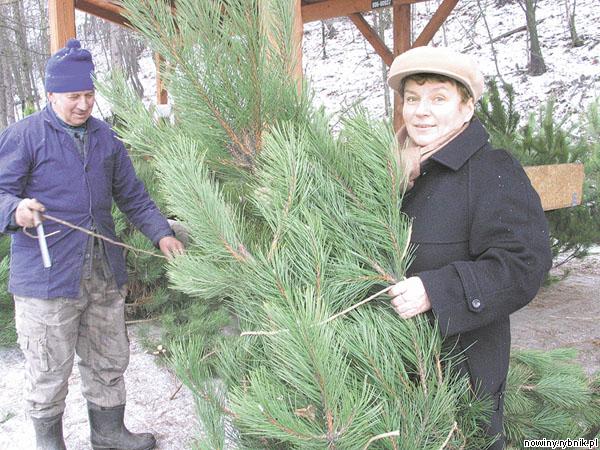 Ewa Tkocz z Czerwionki co roku kupuje świąteczne drzewko u rybnickich leśników