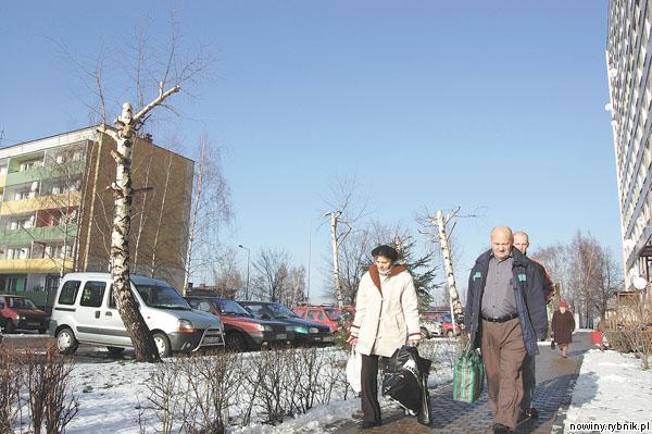 Mieszkańcy żorskiego osiedla Powstańców Śląskich mają różne zdanie na temat krótkiego przycinania drzew