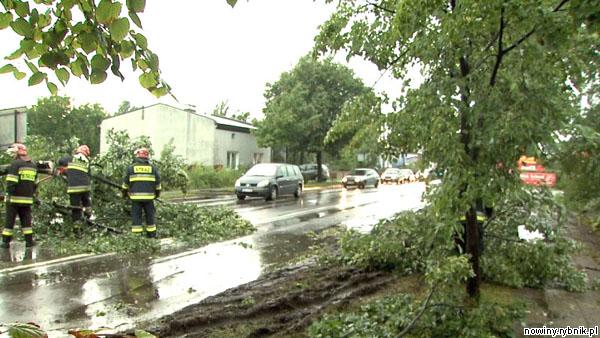 Strażacy usuwali z dróg powalone wichurą drzewa. Zdjęcie: Kw PSP Katowice