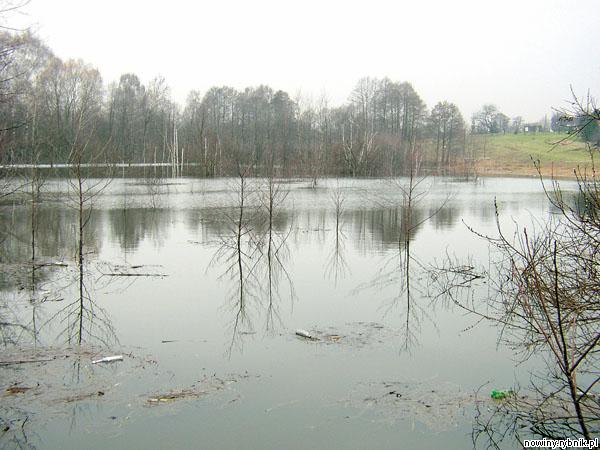 Woda w zbiorniku jest skażona, w dodatku zagraża pobliskiej przepompowni. Zdjęcie: UM Wodzisław