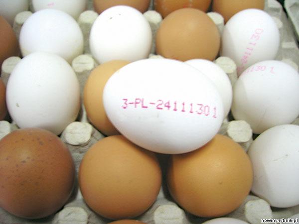Wszystkie jaja w sklepach muszą być opieczętowane
