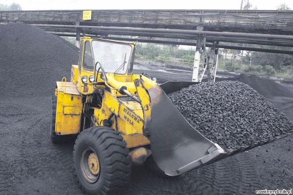 Musimy importować węgiel, bo w naszych kopalniach wydobywa się go za mało, mniej więcej tyle, ile w 1939 roku / Dominik Gajda