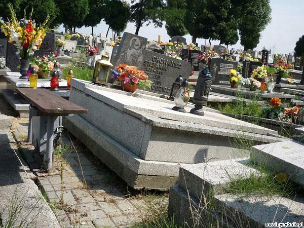 Co dziesiąty pomnik na starym cmentarzu w Niedobczycach jest uszkodzony / Damian Halmer