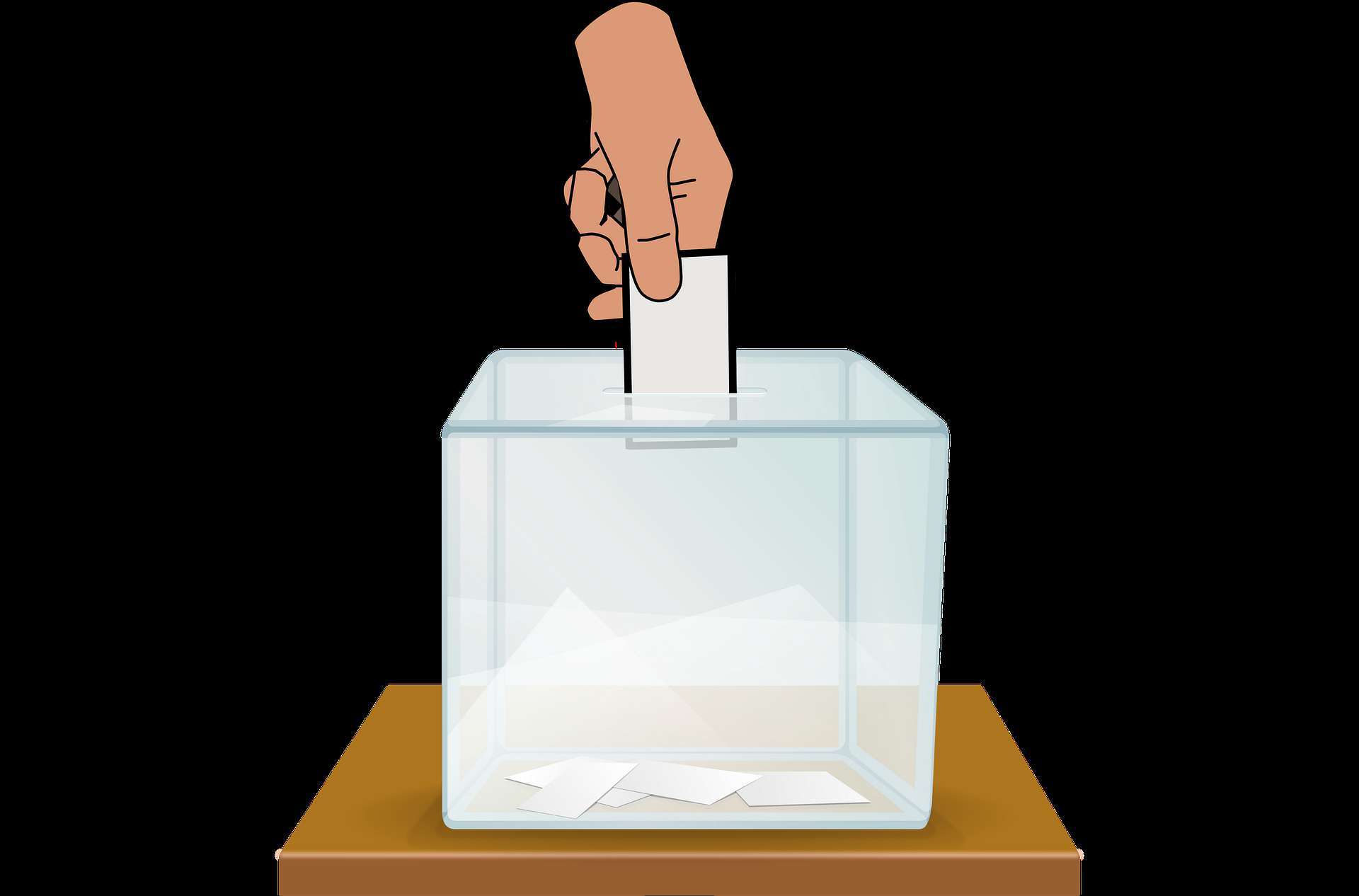 Pixabay Wybory uzupełniające w Kuźni Raciborskiej mają się odbyć 9 maja 