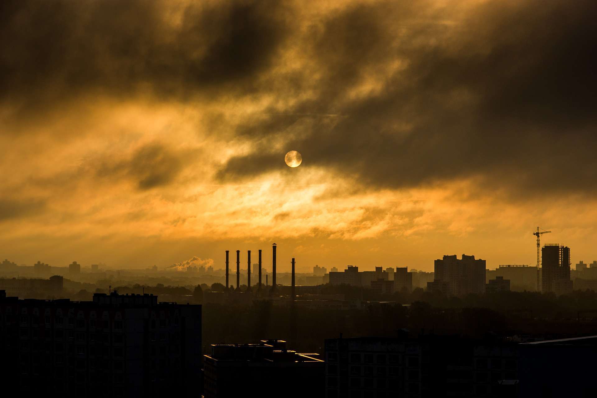 Pixabay Z powodu smogu co roku umierają i chorują tysiące ludzi