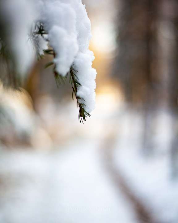 Pixabay Zimowe ferie trudno sobie wyobrazić bez śniegu 